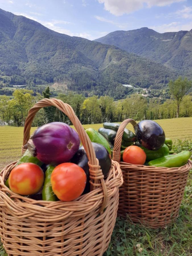 Coste Del Gaggio - Country House B&B - Garda Trentino Drena Extérieur photo