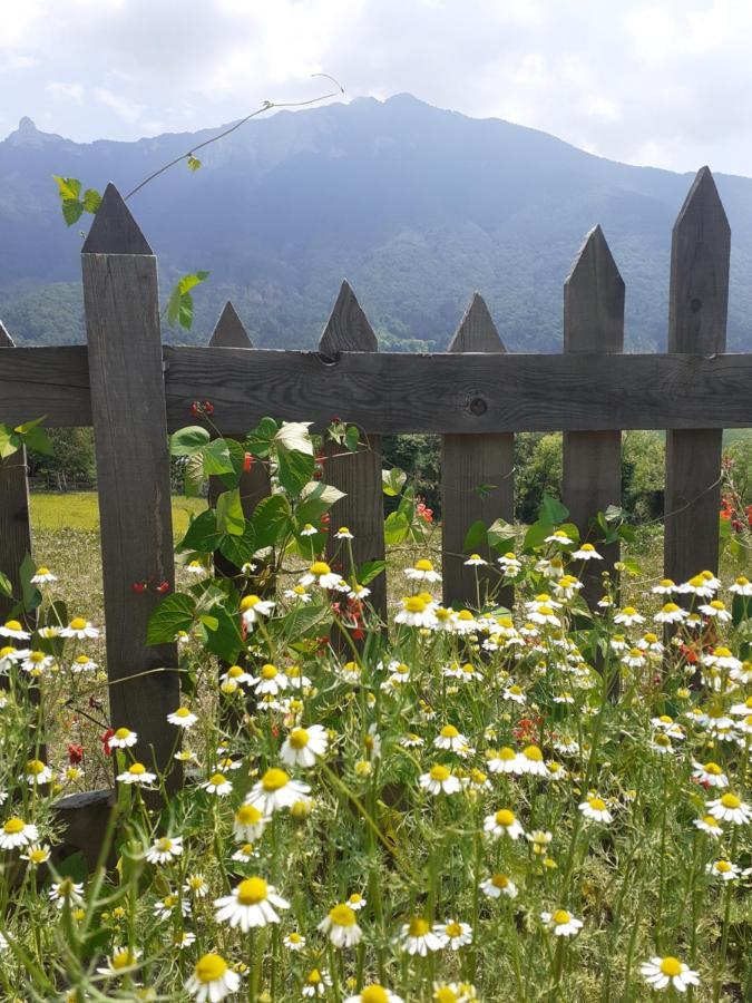 Coste Del Gaggio - Country House B&B - Garda Trentino Drena Extérieur photo