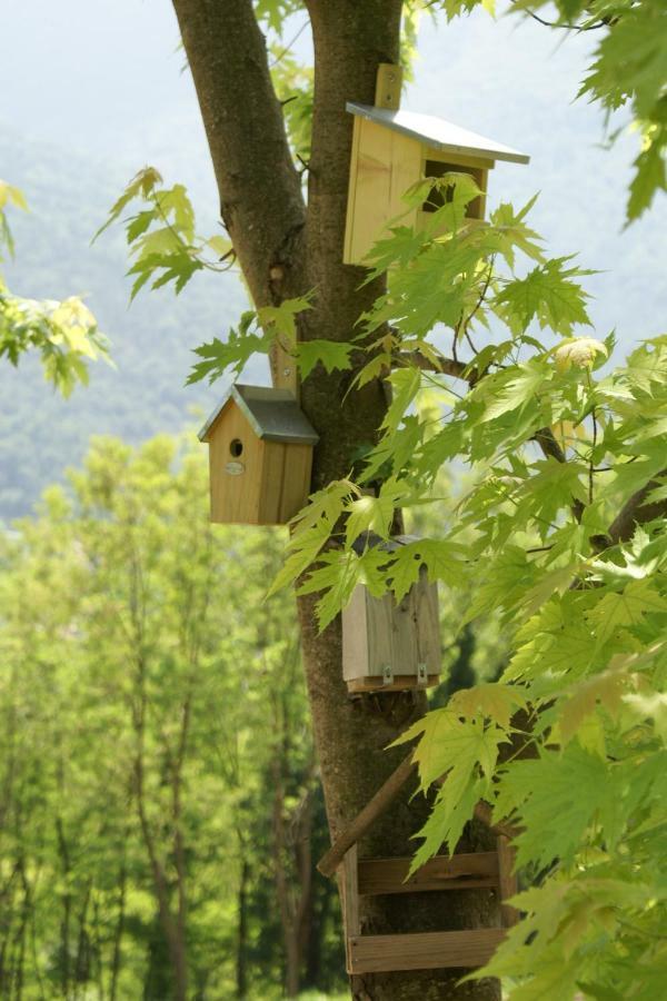 Coste Del Gaggio - Country House B&B - Garda Trentino Drena Extérieur photo